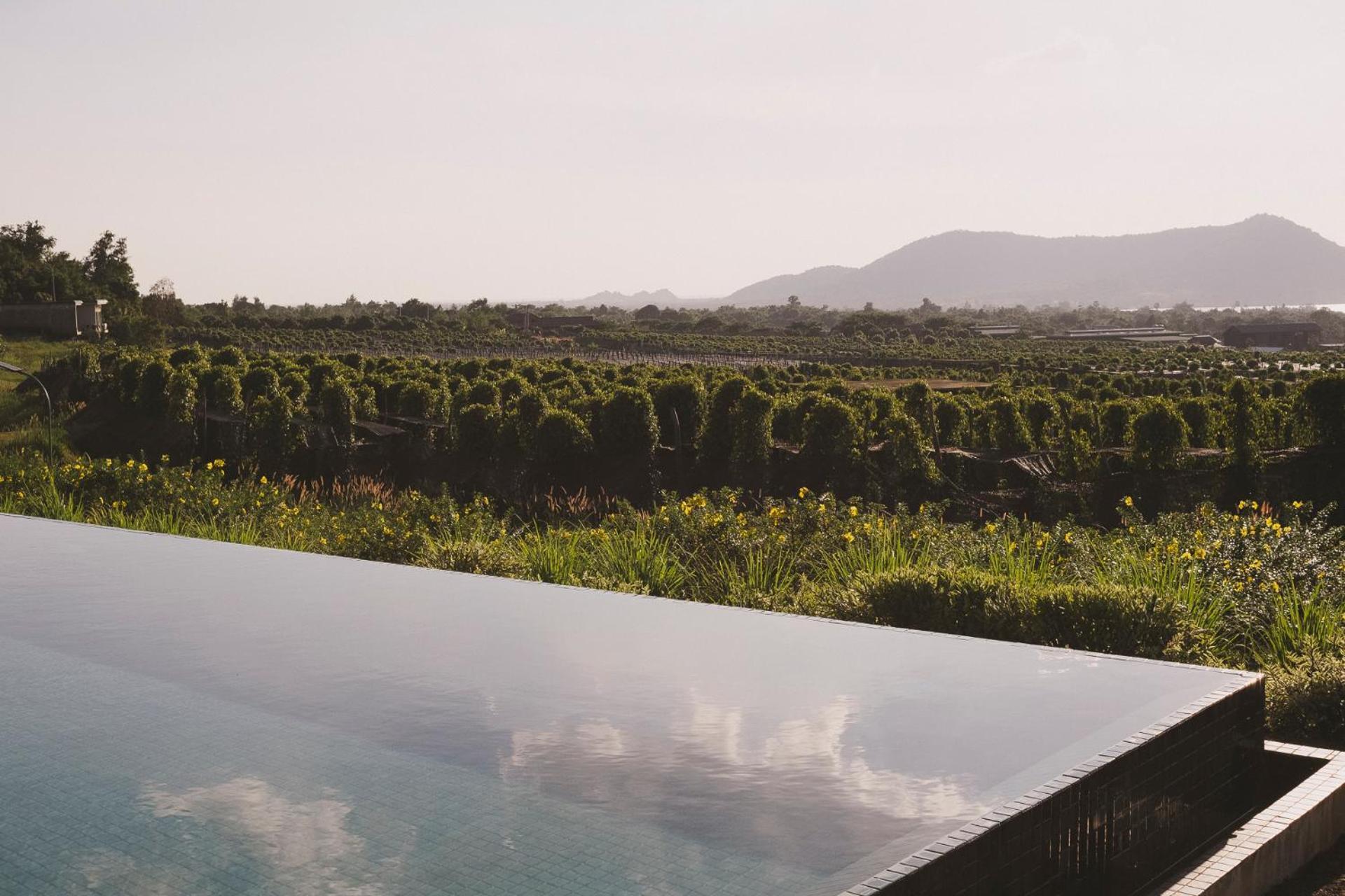Villa La Plantation Kampot Esterno foto